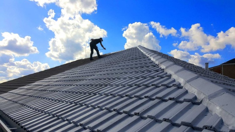 Professional inspecting roof maintenance