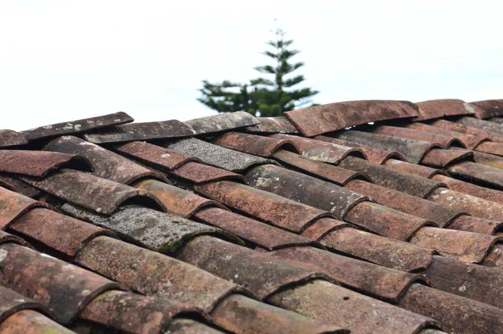 Old Tiles on Roof