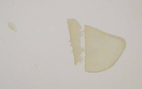 Water stains on roof ceiling