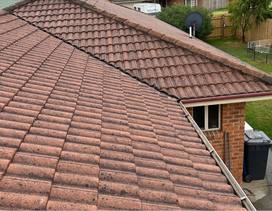 Roof Restorations