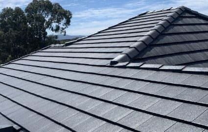 Roof Leak Detection And Repair