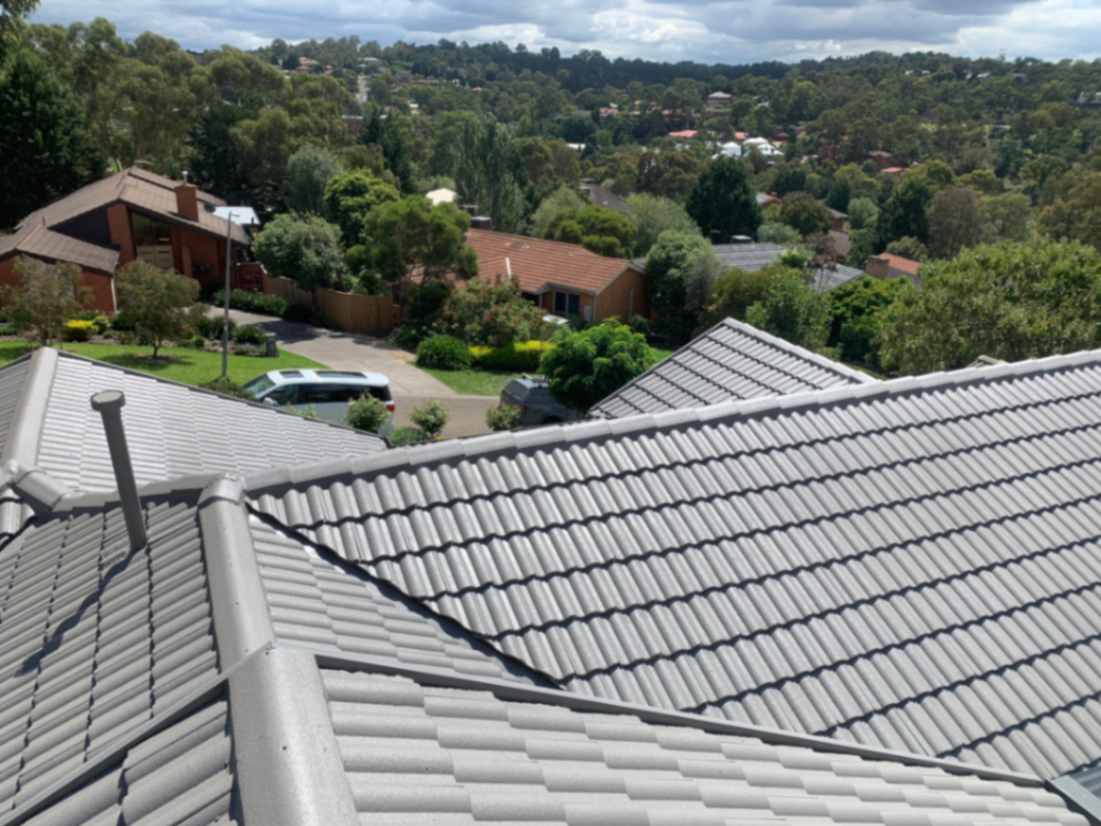 Roof Ridges Need Repairs