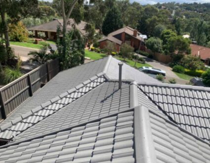 Roof Ridges Repair