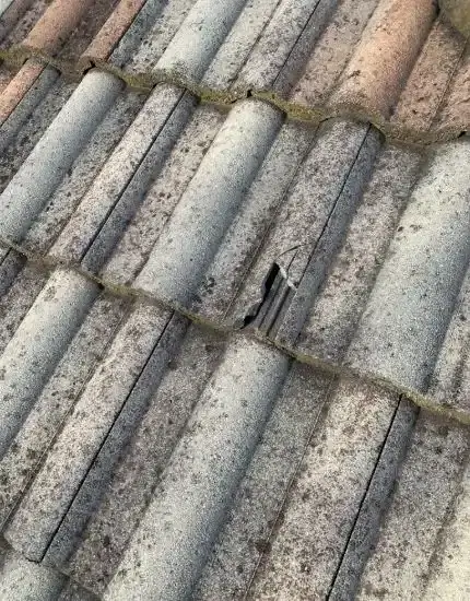 Roof Inspections