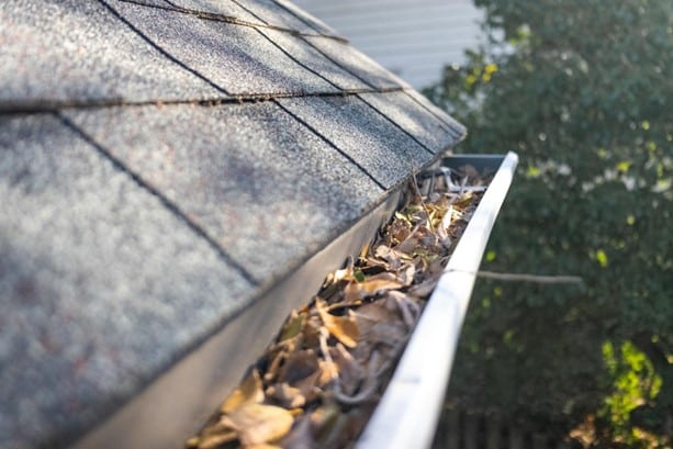 Blocked Gutters And Downpipes