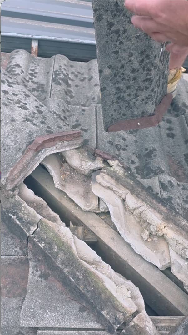 Roof Restoration Service